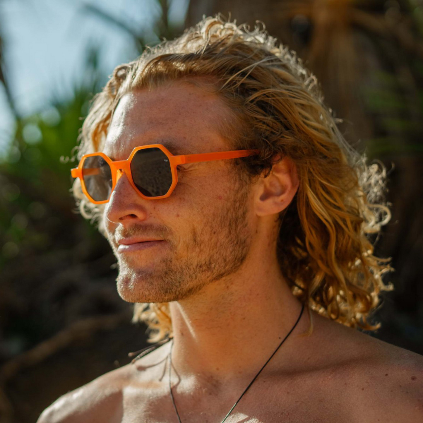 Xavier (orange)